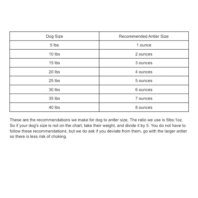 Small Average Antler Chew