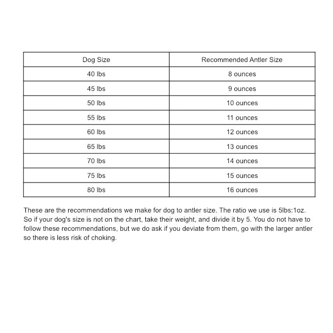 Medium Aggressive Antler Chew