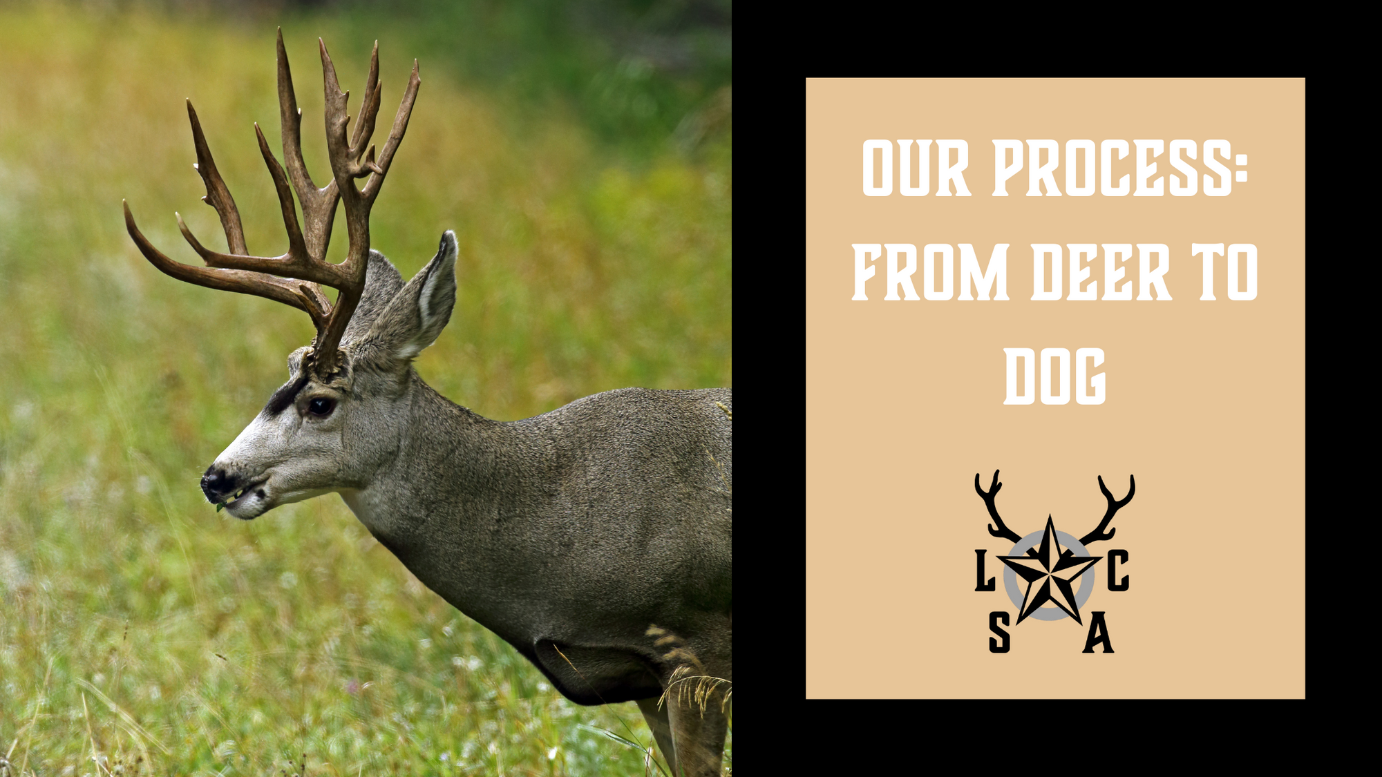 Our Process: From Deer to Dog - Lone Star Antler Chews, LLC